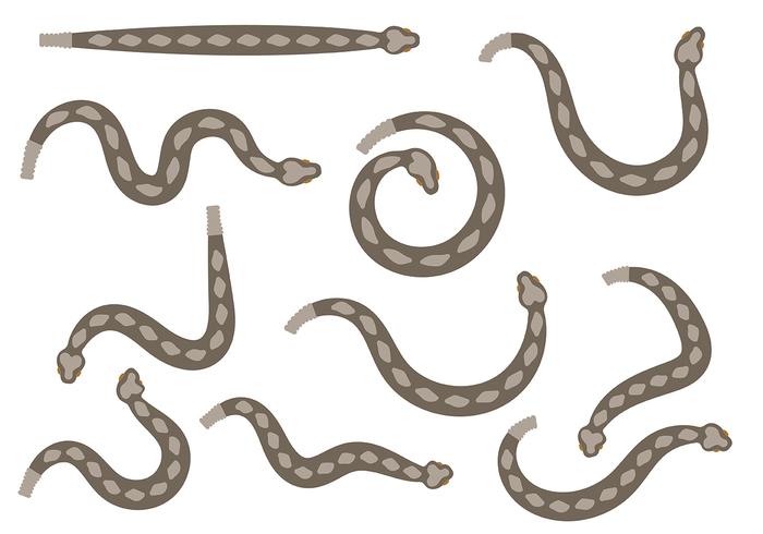 Vectores de la serpiente de cascabel