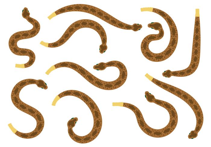 Vectores de la serpiente de cascabel