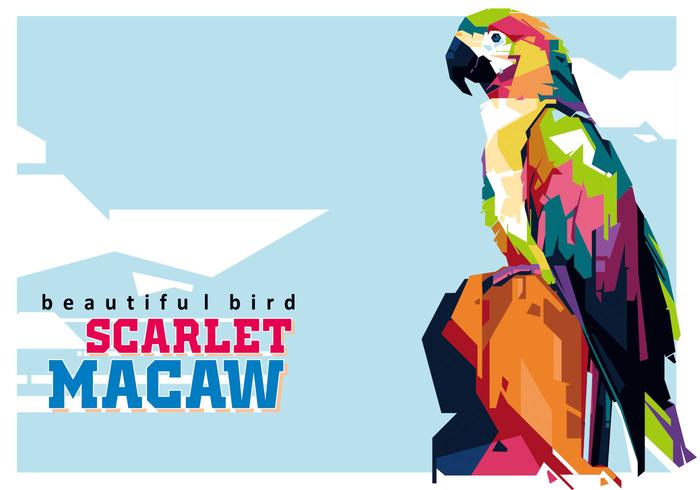 Scarlett Macaw - El pájaro más hermoso vector