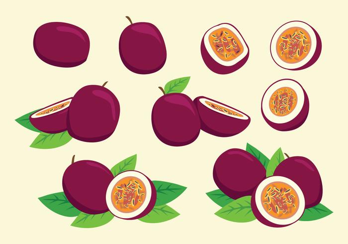 Free Passion Fruit Vector