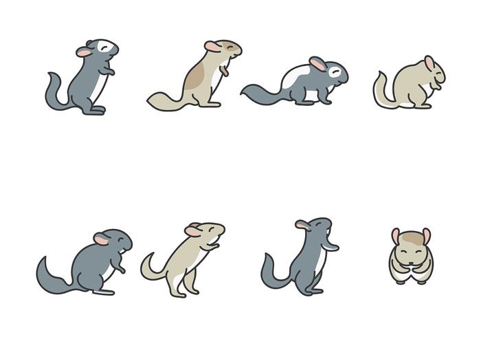 Chinchilla Vector