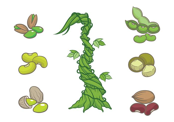 Libre Beanstalk Iconos Vector