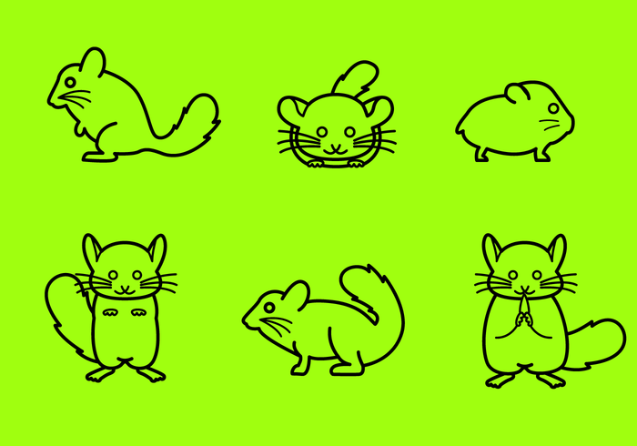 Free Chinchilla Vector