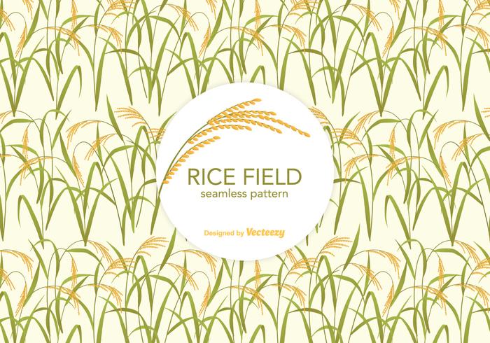 Rice Field Vector Pattern 129037 Vector Art at Vecteezy