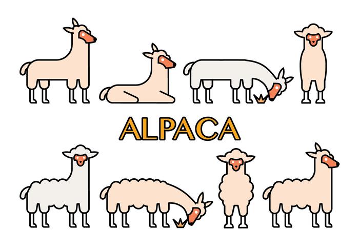 Alpaca vector icons