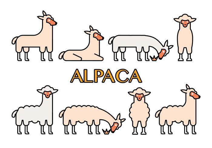 Iconos de vector de Alpaca