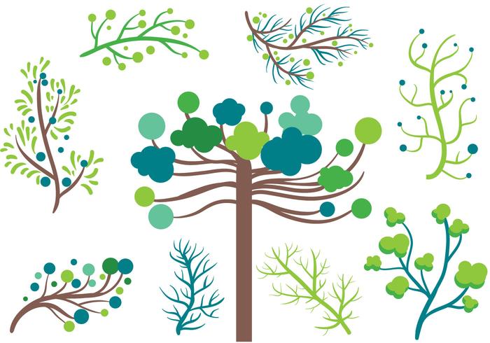 Free Coniferous Vectors Free Coniferous Vectors