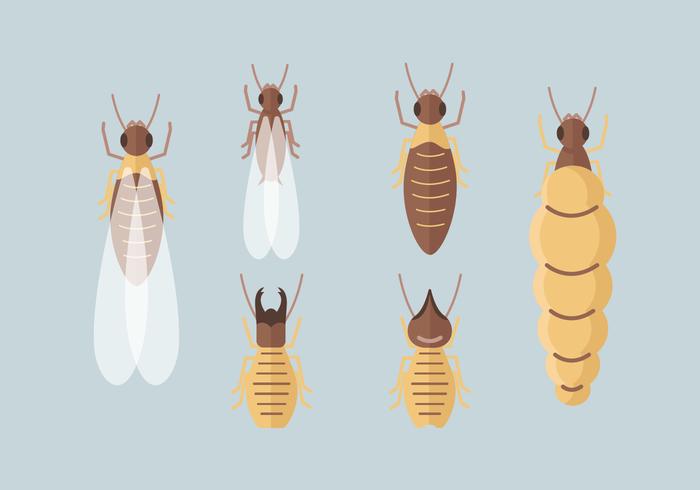 Termite Vector Packs