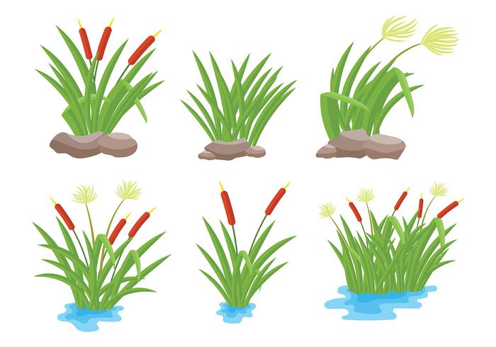 Reeds Icons Vector