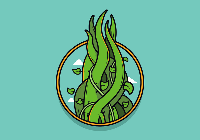 Free Beanstalk Vector