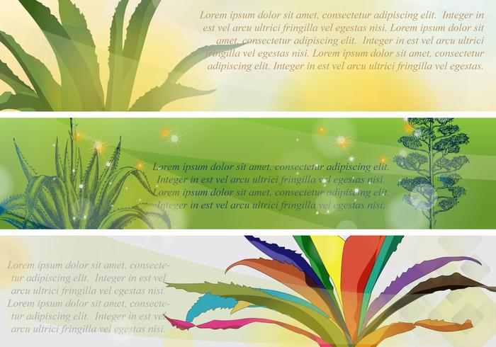 Banners Maguey vector