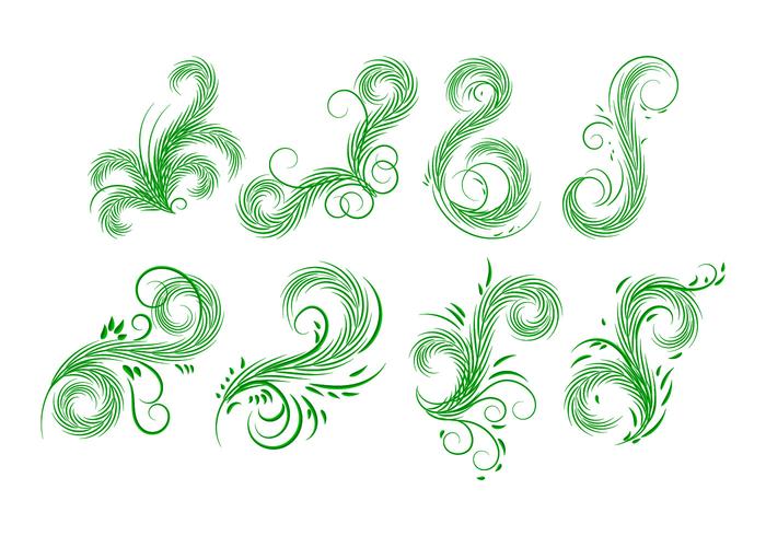 Palm Leaves Elements Vector