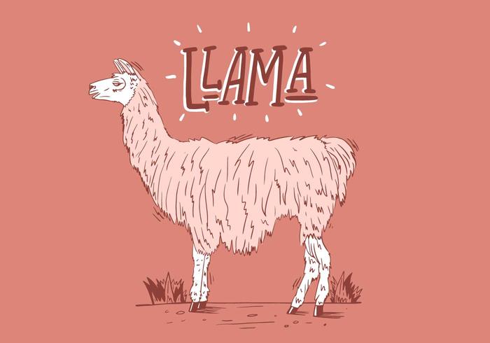 Free Llama Background vector