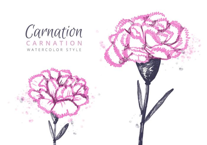 Carnation Flowers Background vector