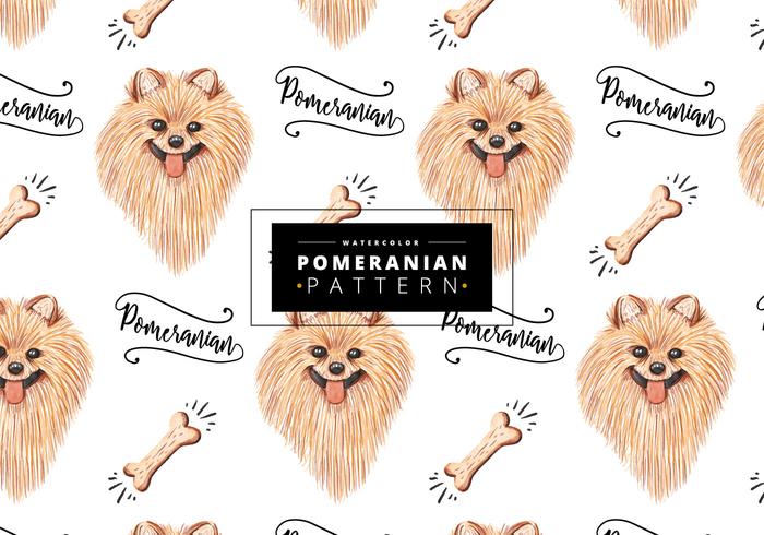 Free Pomeranian Pattern vector