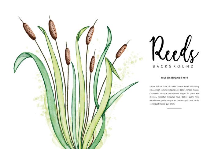 Free Reeds Background vector