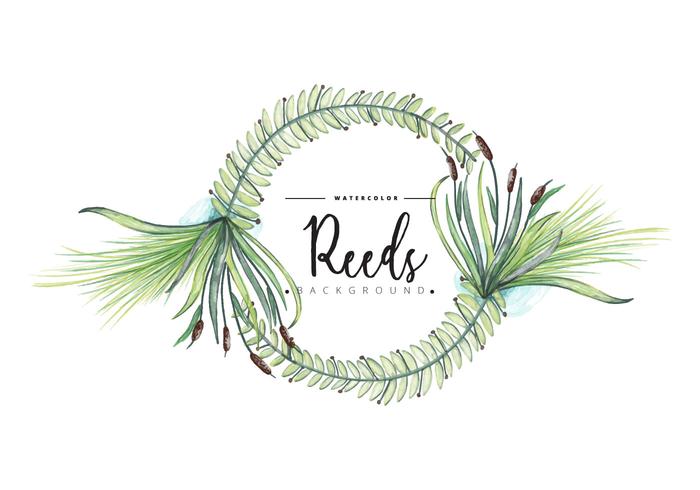 Free Reeds Wreath Background vector