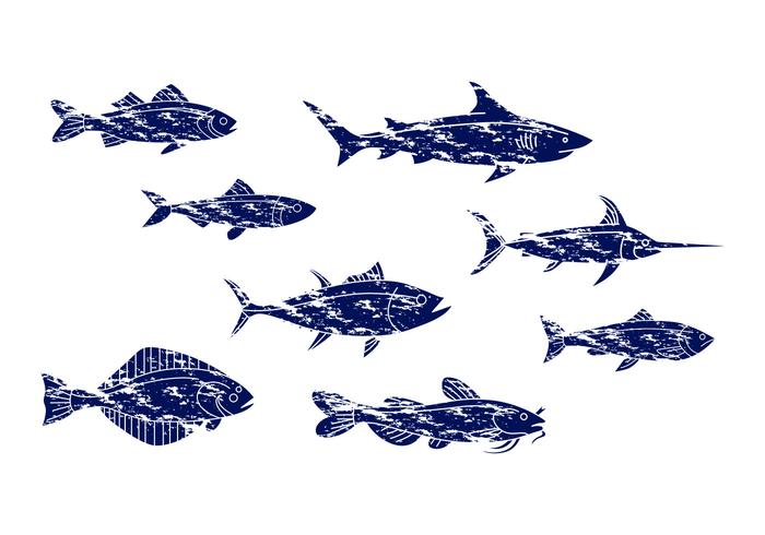 Vintage Fish Icon Vector