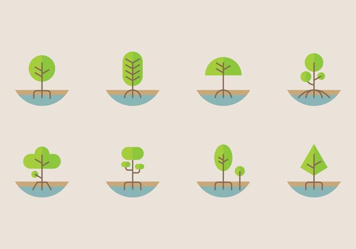 Mangrove Icon vector