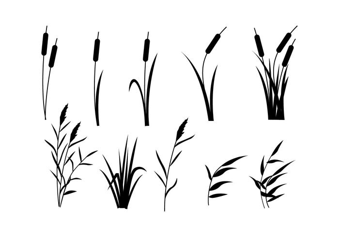 Free Reeds Vector 