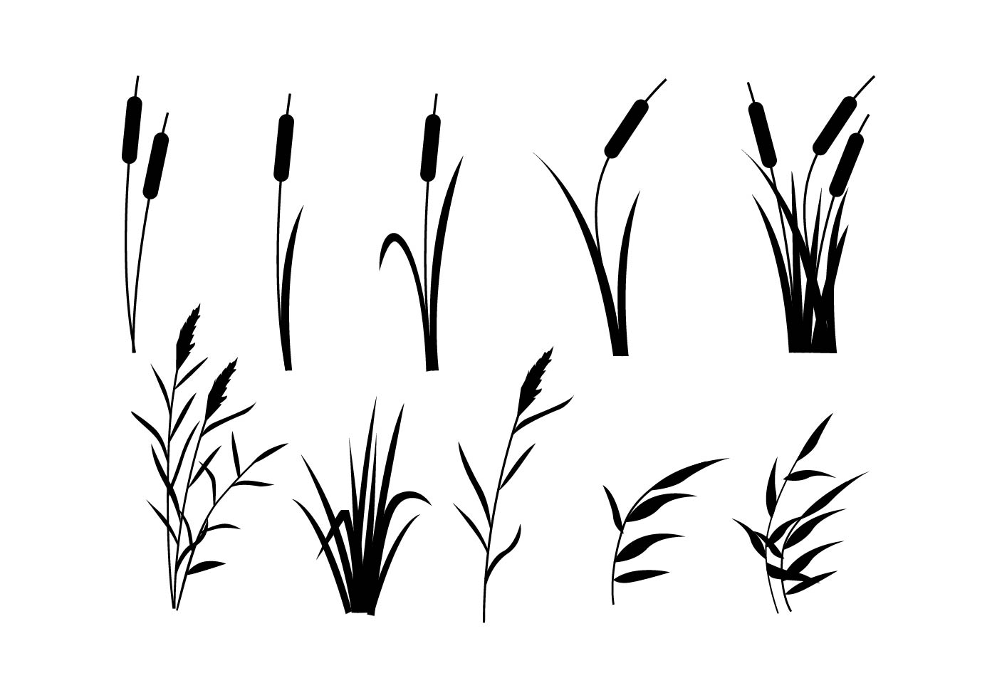 Free Reeds Vector 129589 Vector Art at Vecteezy