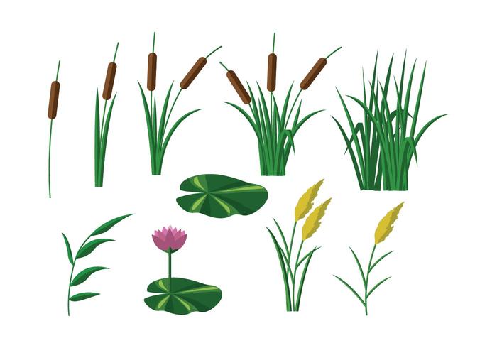 Free Reeds Vector 