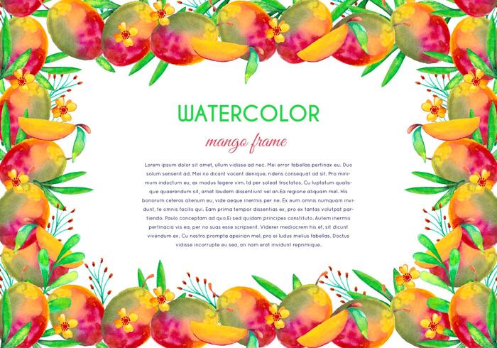 Free Vector Watercolor Mango Illustration Free Vector Watercolor Mango Illustration