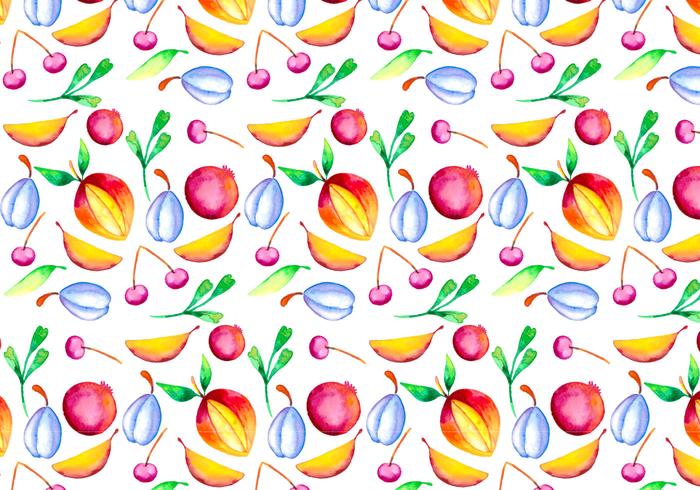 Vector Watercolor Fruit Illustration Vector Watercolor Fruit Illustration