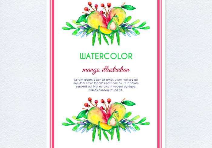 Vector Watercolor Mango Illustration Vector Watercolor Mango Illustration