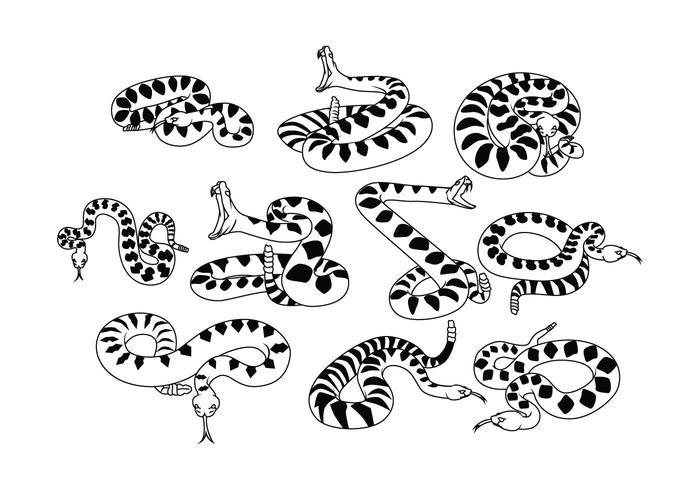 Free Rattlesnake Vector