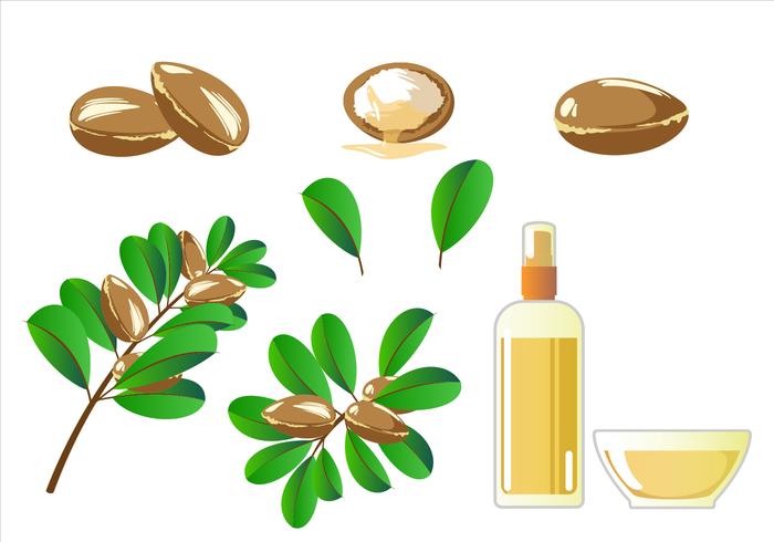 Argan Free Vector