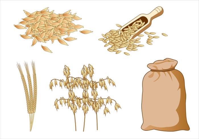 Oats Free vector