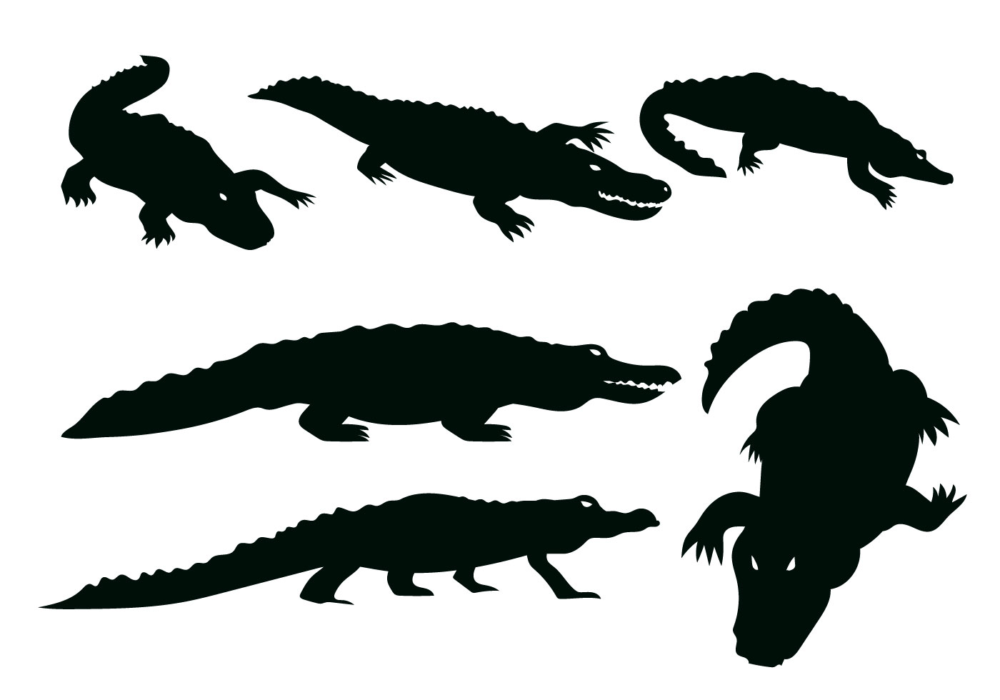 Gator vector - Download Free Vectors, Clipart Graphics ...