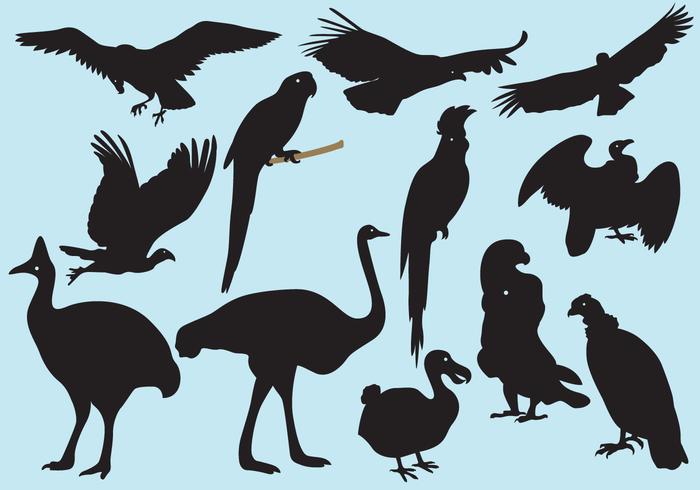 Siluetas de pájaros grandes vector