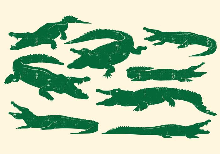 Crocodile Design Vector Set