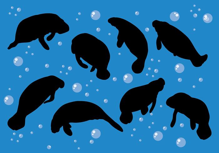 Libre Manatee Iconos Vector