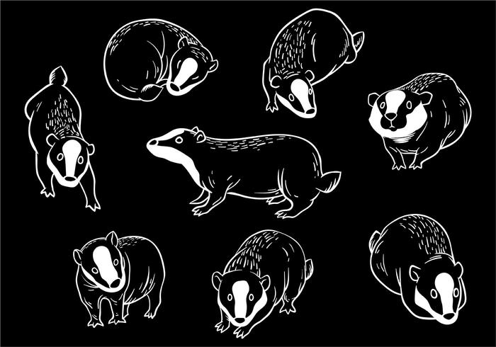 Free Honey Badger Icons Vector