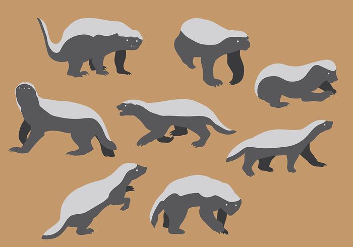 Les Blasons de NRP - Page 7 Free-honey-badger-icons-vector