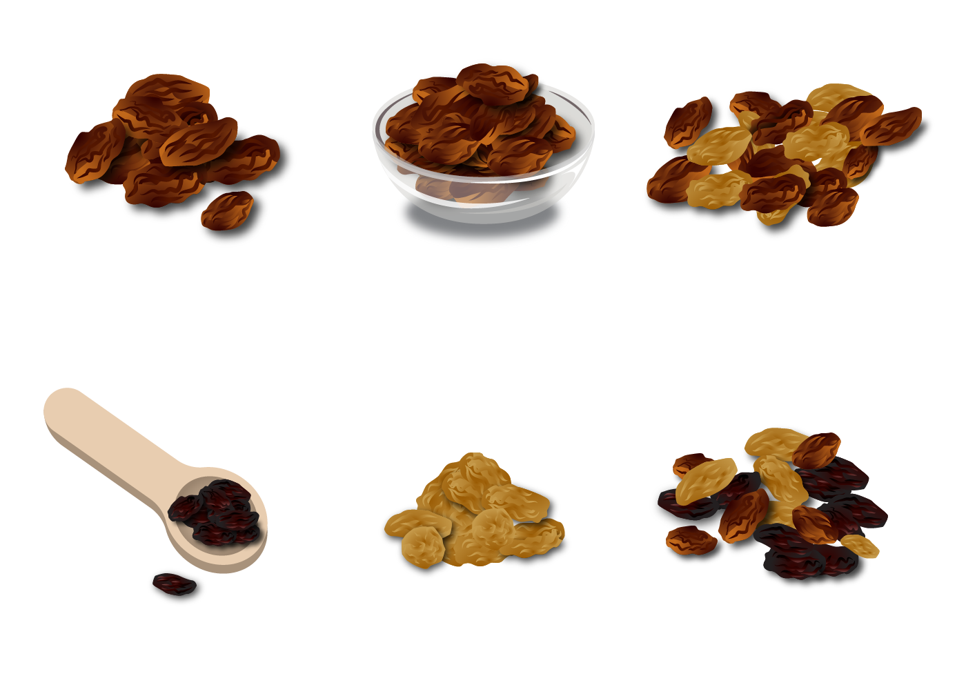 Free Raisins Vector 130559 Vector Art at Vecteezy