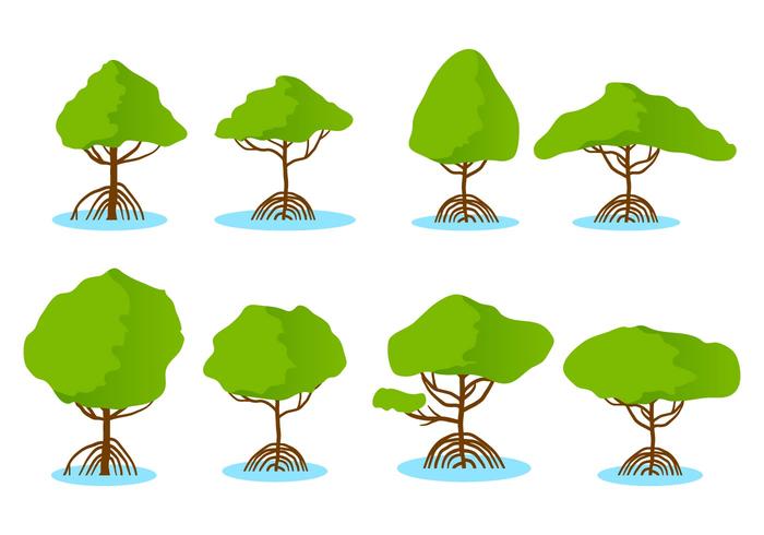 Free Mangrove Vector