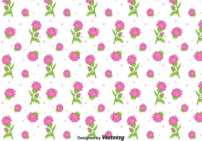 Beautiful Thistle Flowers Seamless Pattern vector