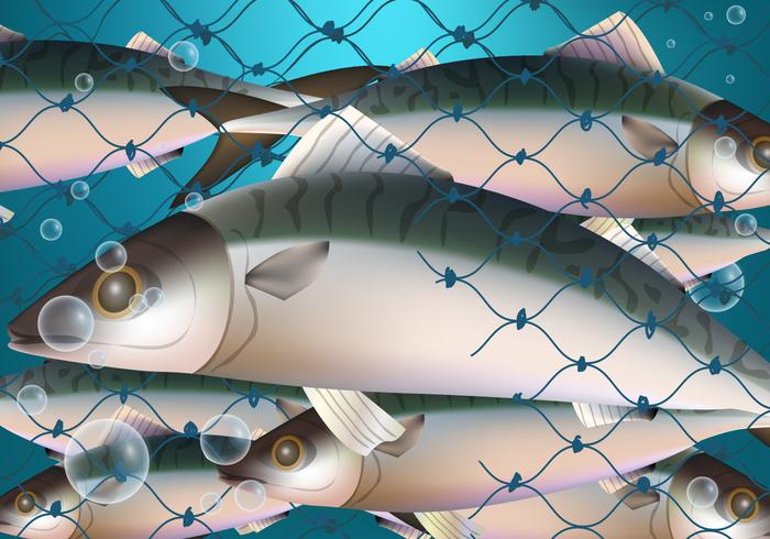 Fish Trap In Net vector