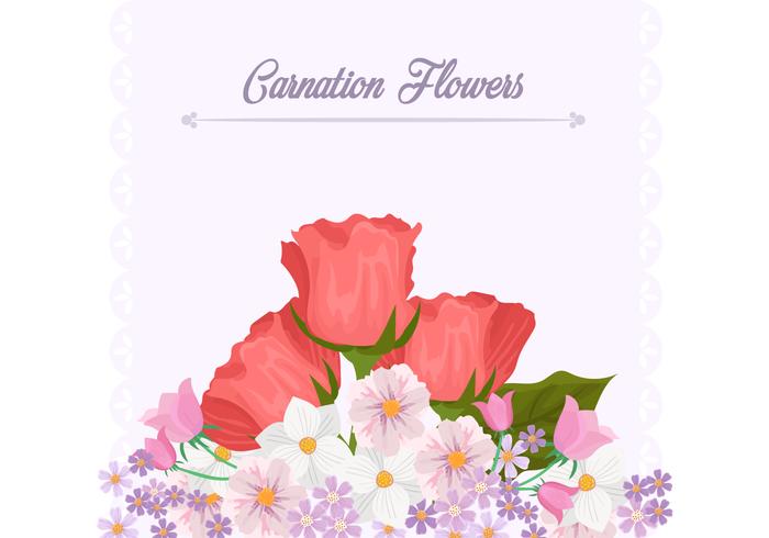 Carnation Flower Background Template vector