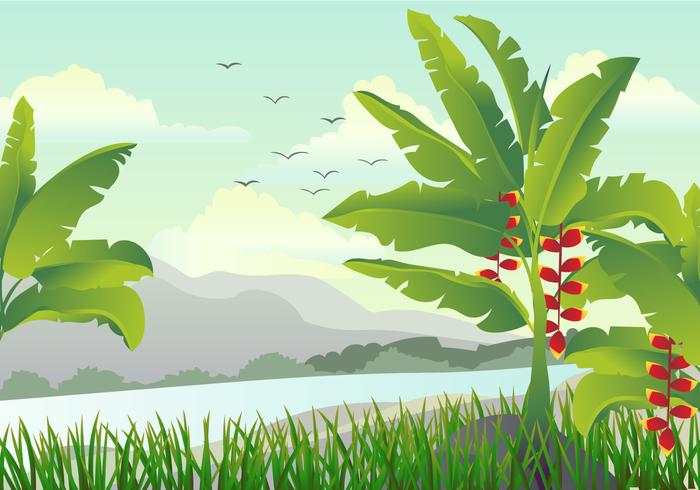 Escena con ilustración de árbol de plátano vector