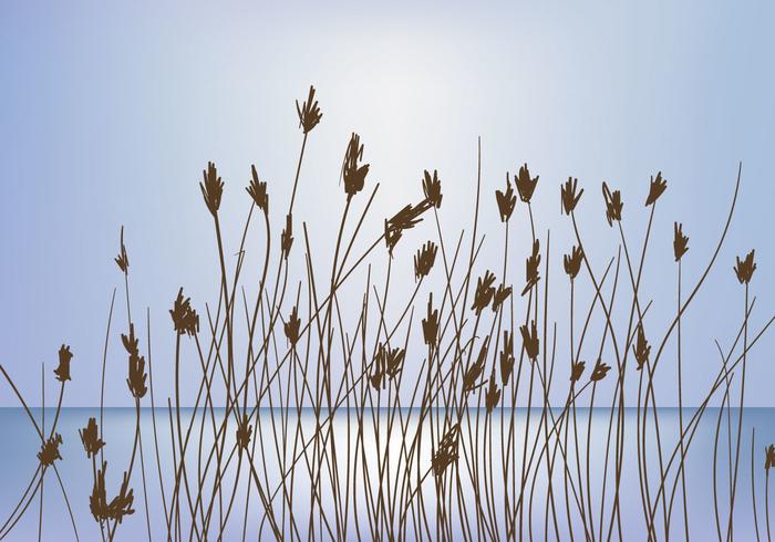 Cañas en el vector de fondo de la puesta del sol