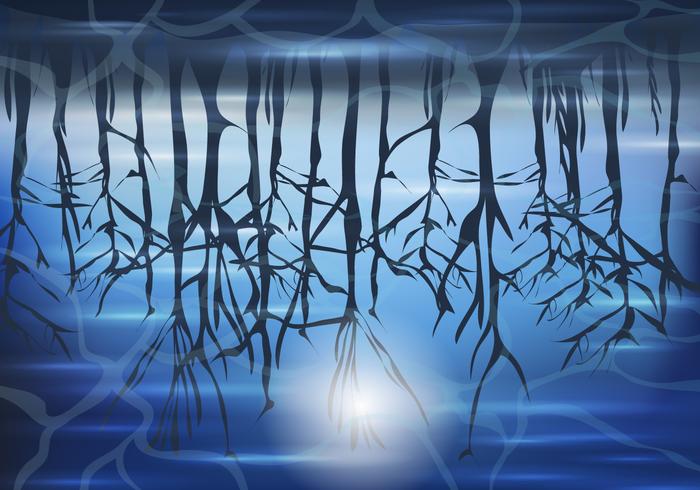 Swamp At Night Background vector