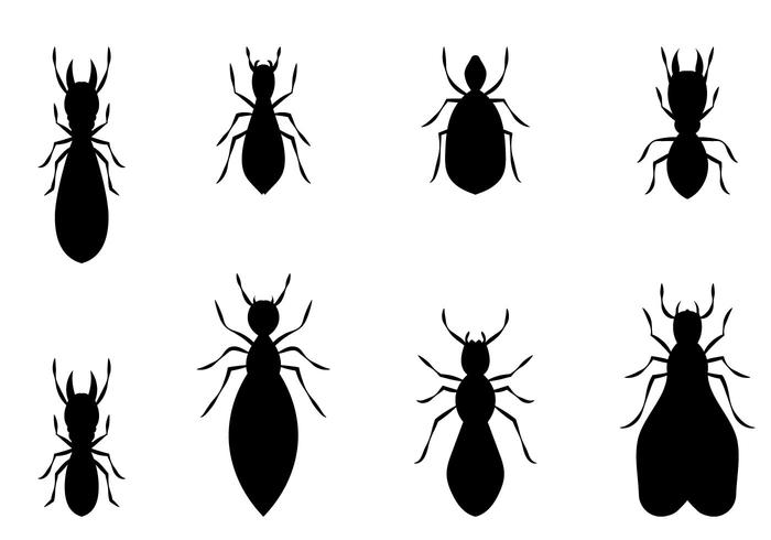 Free Termite Vector