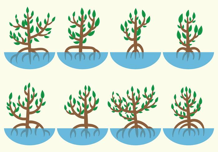 Mangrove Vector
