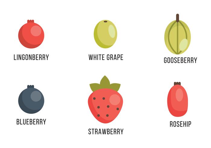 Selection of Berries and Grapes Selection of Berries and Grapes