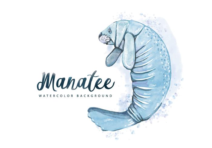 Free Manatee Watercolor Background vector